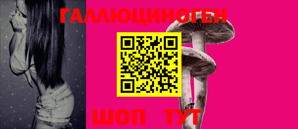 Кохма  Псилоцибиновые грибы Cubensis  Вход с VPN 